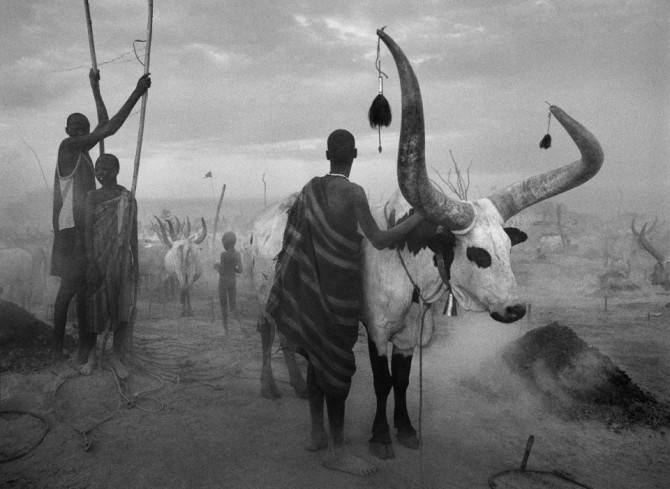 Sebastiao-Salgado_Genesis_9.jpg