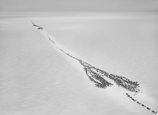 Sebastiao-Salgado_Genesis_11-1-15951.jpg