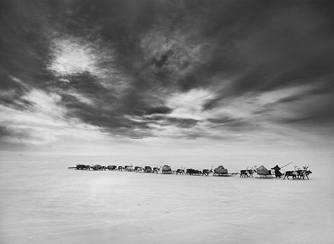 Sebastiao-Salgado_Genesis_These-caravans-of-sledges-003.jpg