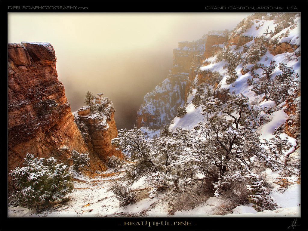 beautiful-one_patrick-di-fruscia.jpg