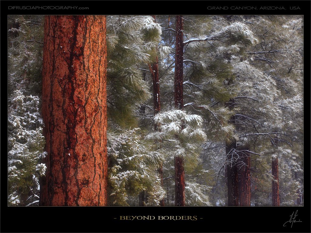 beyond-borders_patrick-di-fruscia.jpg