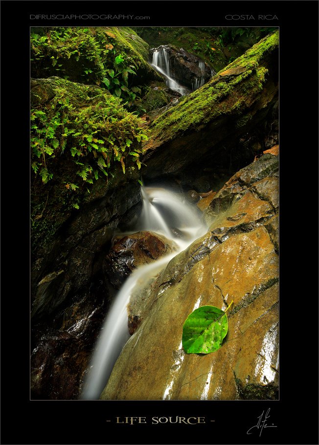 life-source_patrick-di-fruscia.jpg