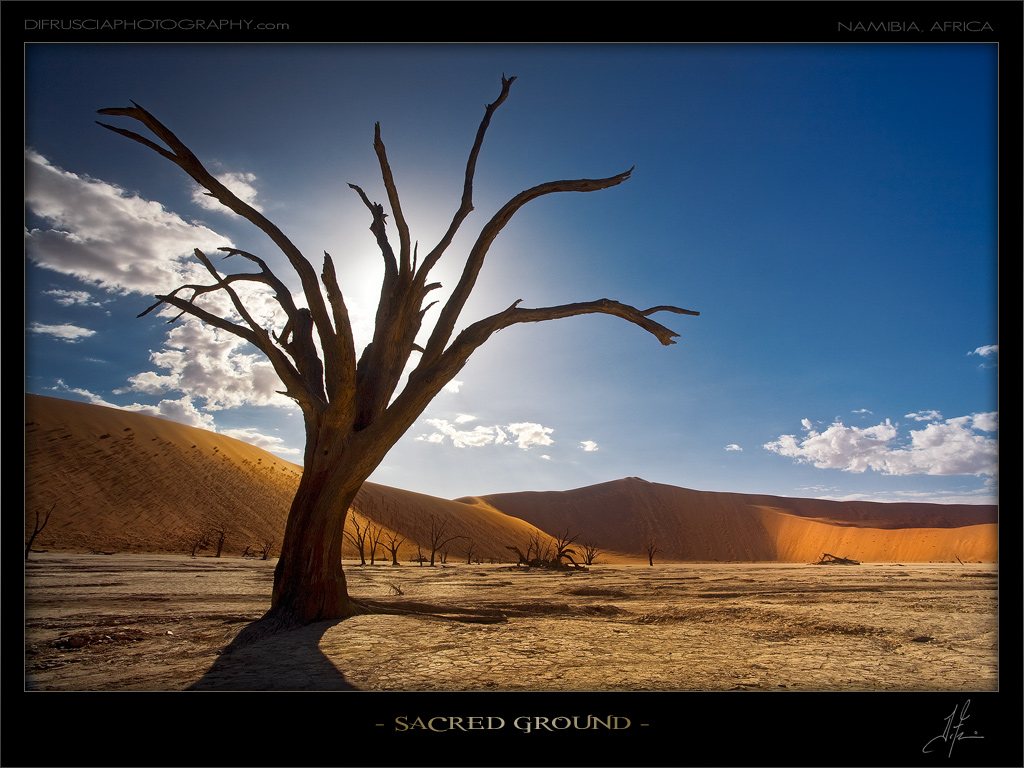sacred-ground_patrick-di-fruscia.jpg