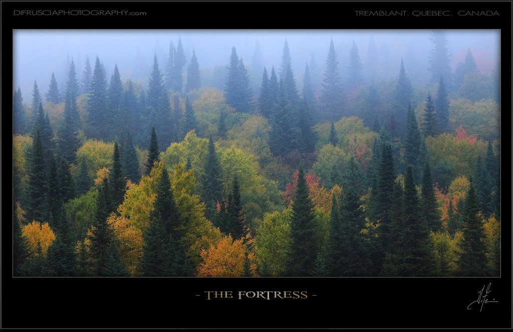 the-fortress_patrick-di-fruscia.jpg