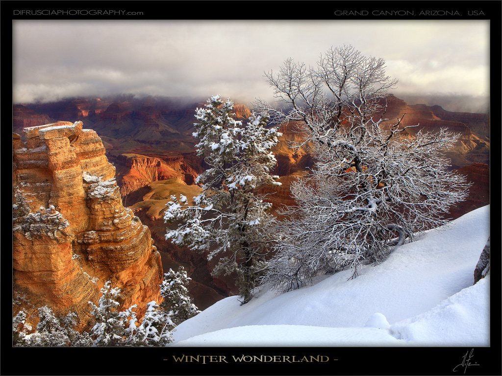 winter-wonderland_patrick-di-fruscia.jpg