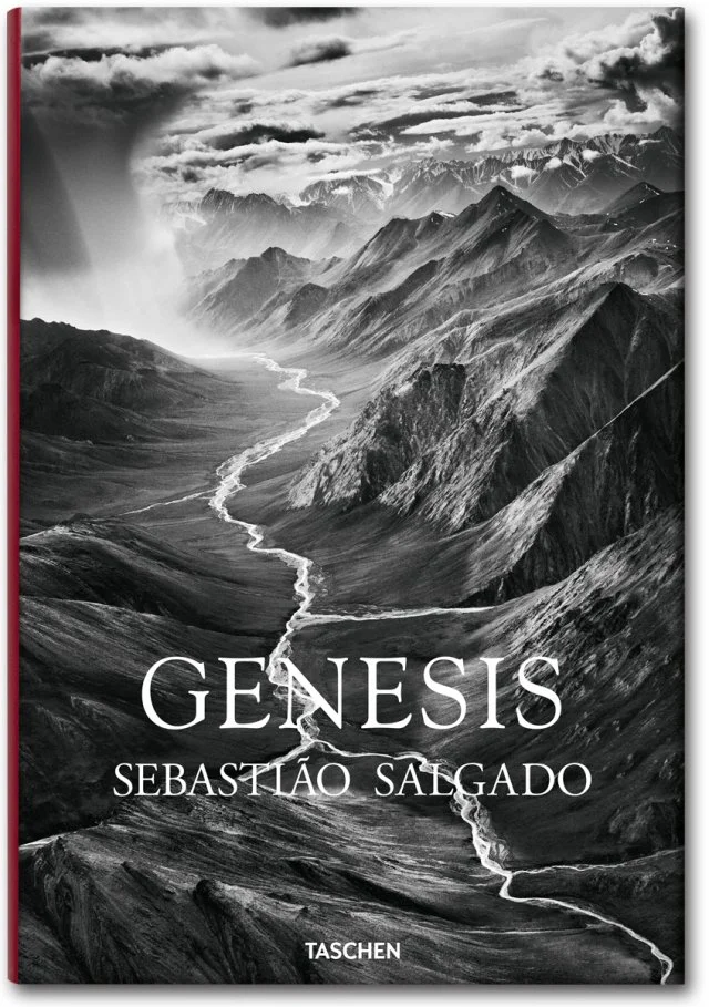 cover_fo_salgado_genesis_trade_gb_1307081418_id_618549.jpg