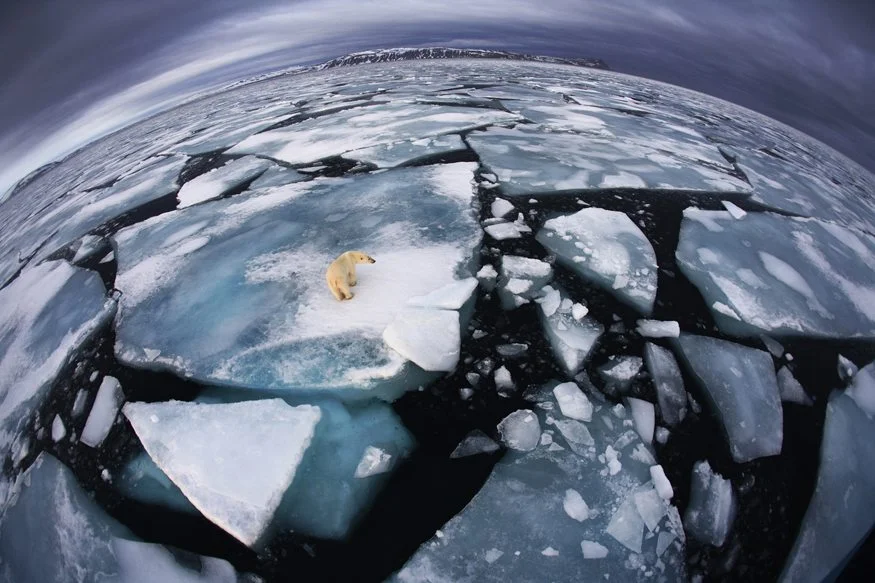 Winner: Ice matters - Anna Henly (UK)