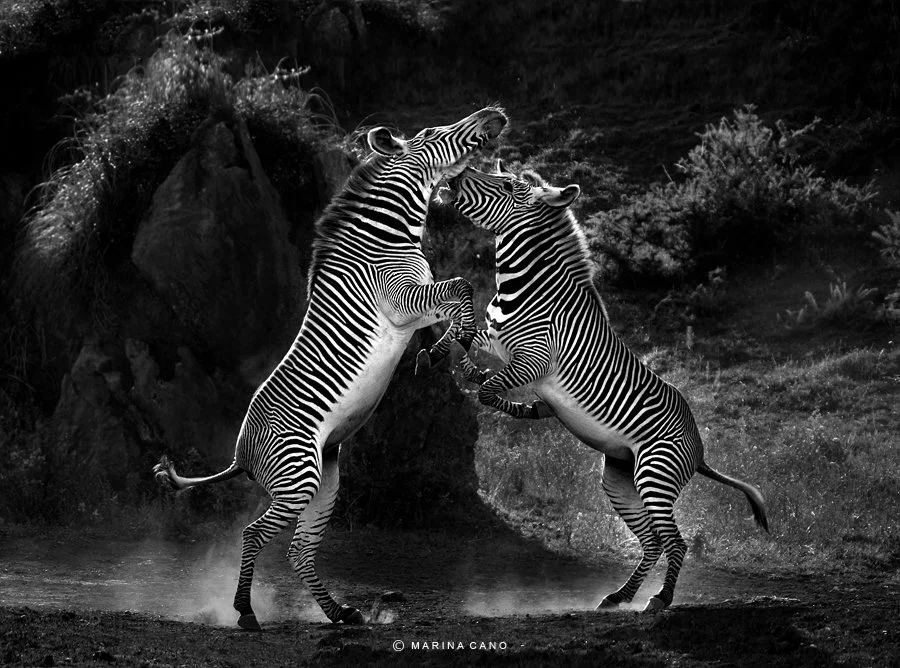 A Woman In Love With The Wild: Marina Cano
