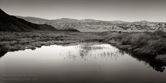 michael-e-gordon_desert-oasis.jpg