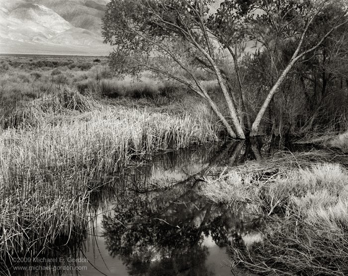 michael-e-gordon_cottonwood-pond.jpg
