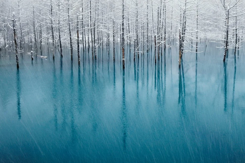 national-geographic-2011-winner-5.jpg