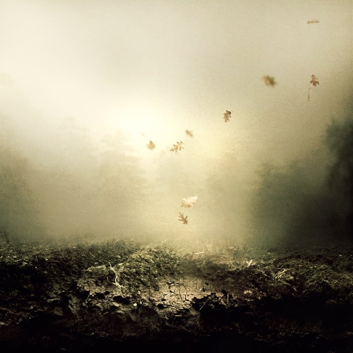 martin-stranka_and-i-keep-falling.jpg