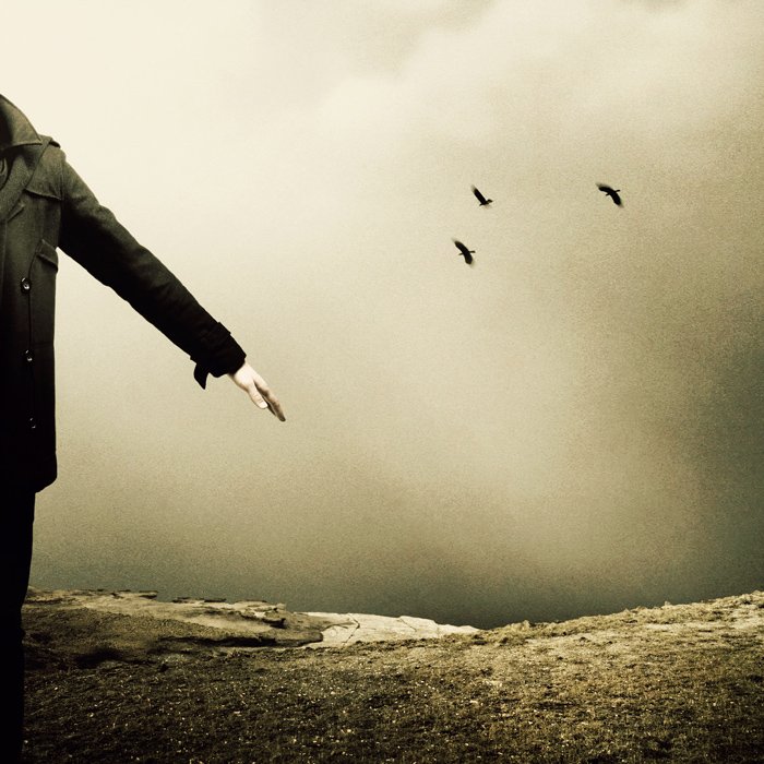 martin-stranka_they-taught-me-how.jpg