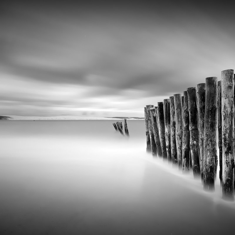 damien-vassart-morning_tide.jpg