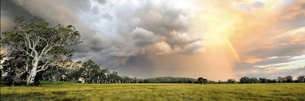 brian-fogarty-australia-panoramic.jpg