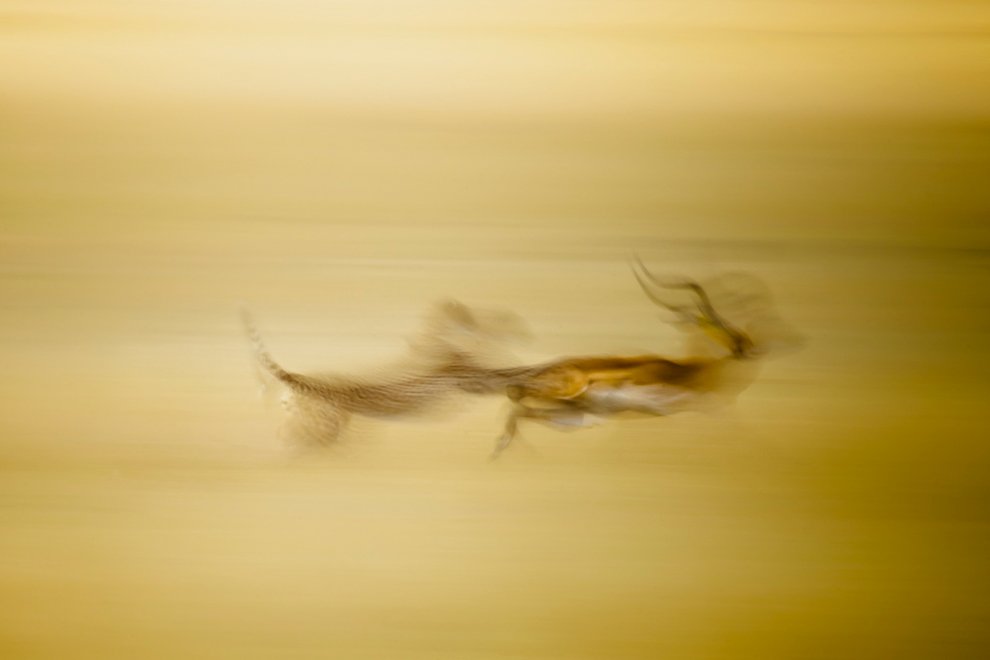 national-geographic-2011-winner-4.jpg