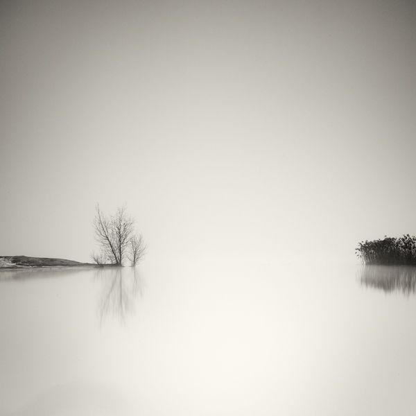 pierre-pellegrini-16.jpg