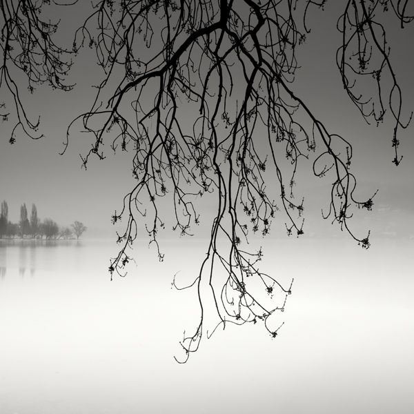 pierre-pellegrini-17.jpg