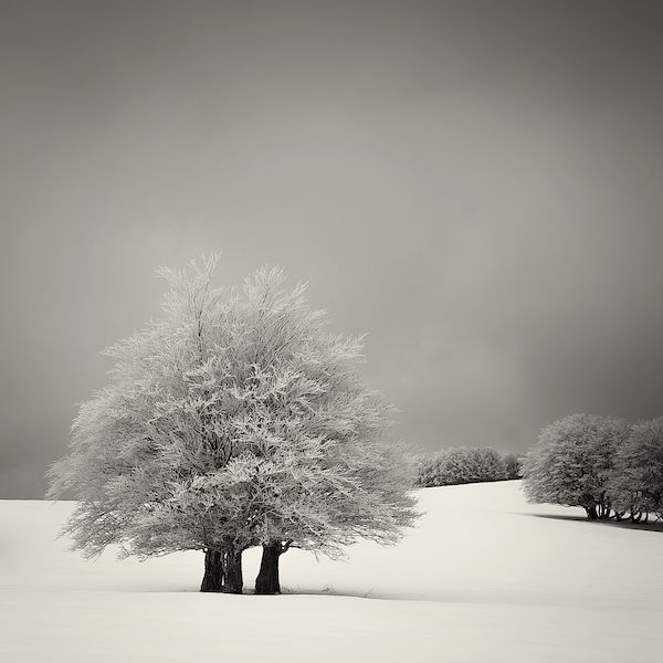 lionel-orriols_snowscapes-16.jpg