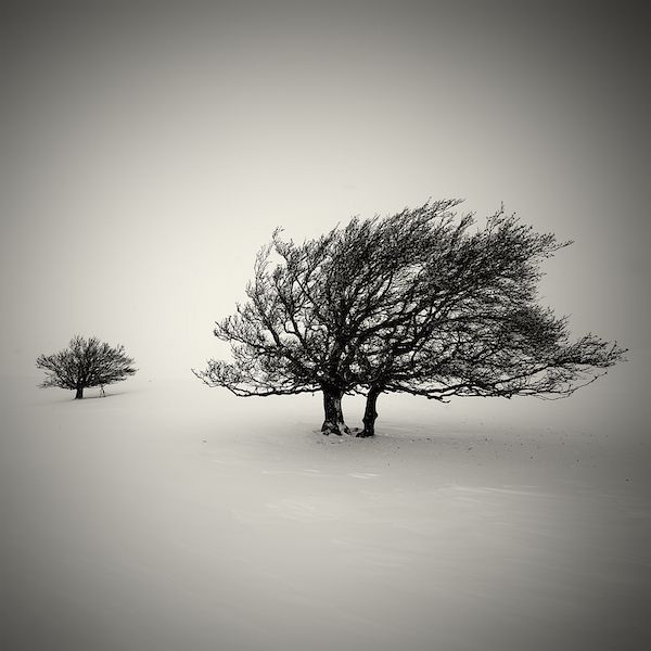 Snow Timeless by Lionel Orriols — Photography Office