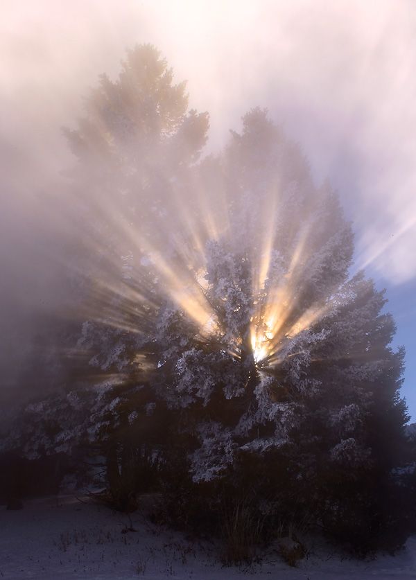 winters-magic_ian-plant.jpg