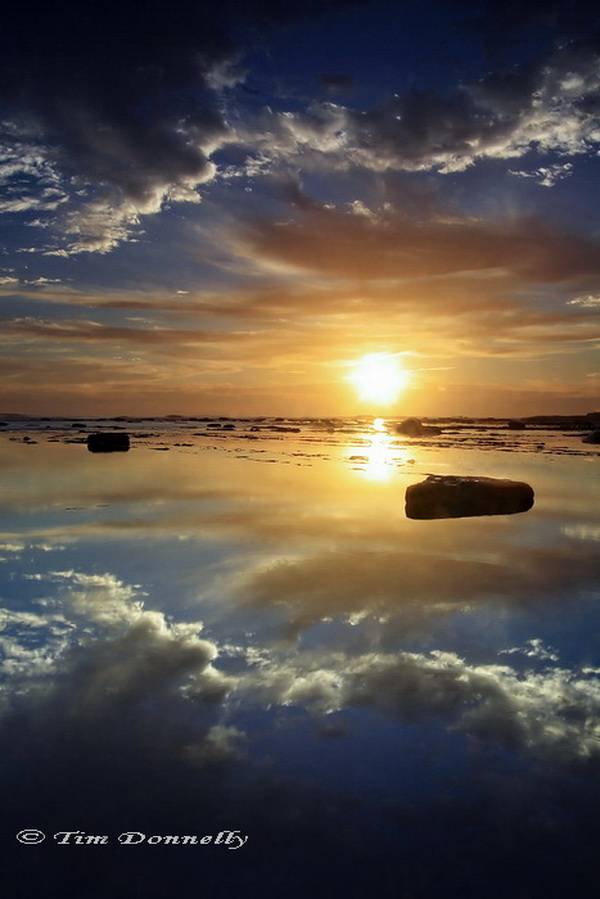 tim-donnelly_golden-reflection.jpg