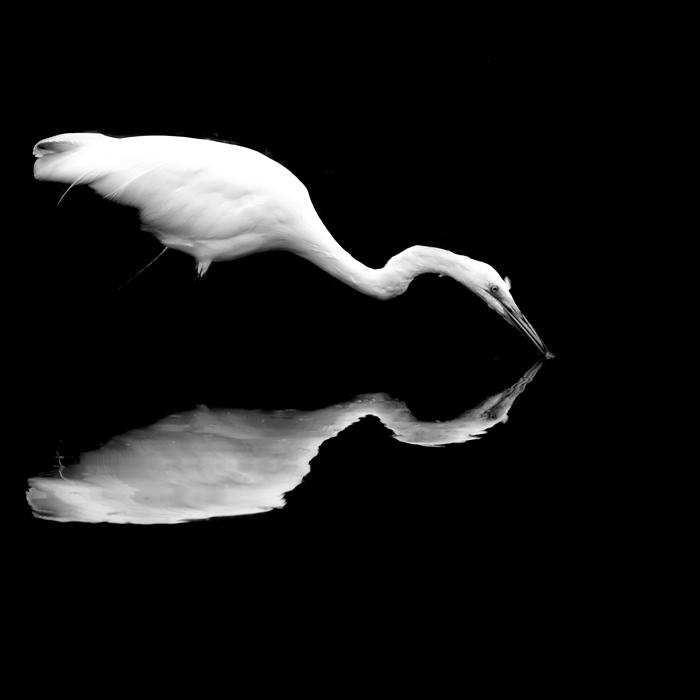 nathan-wirth_symmetry-ii.jpg