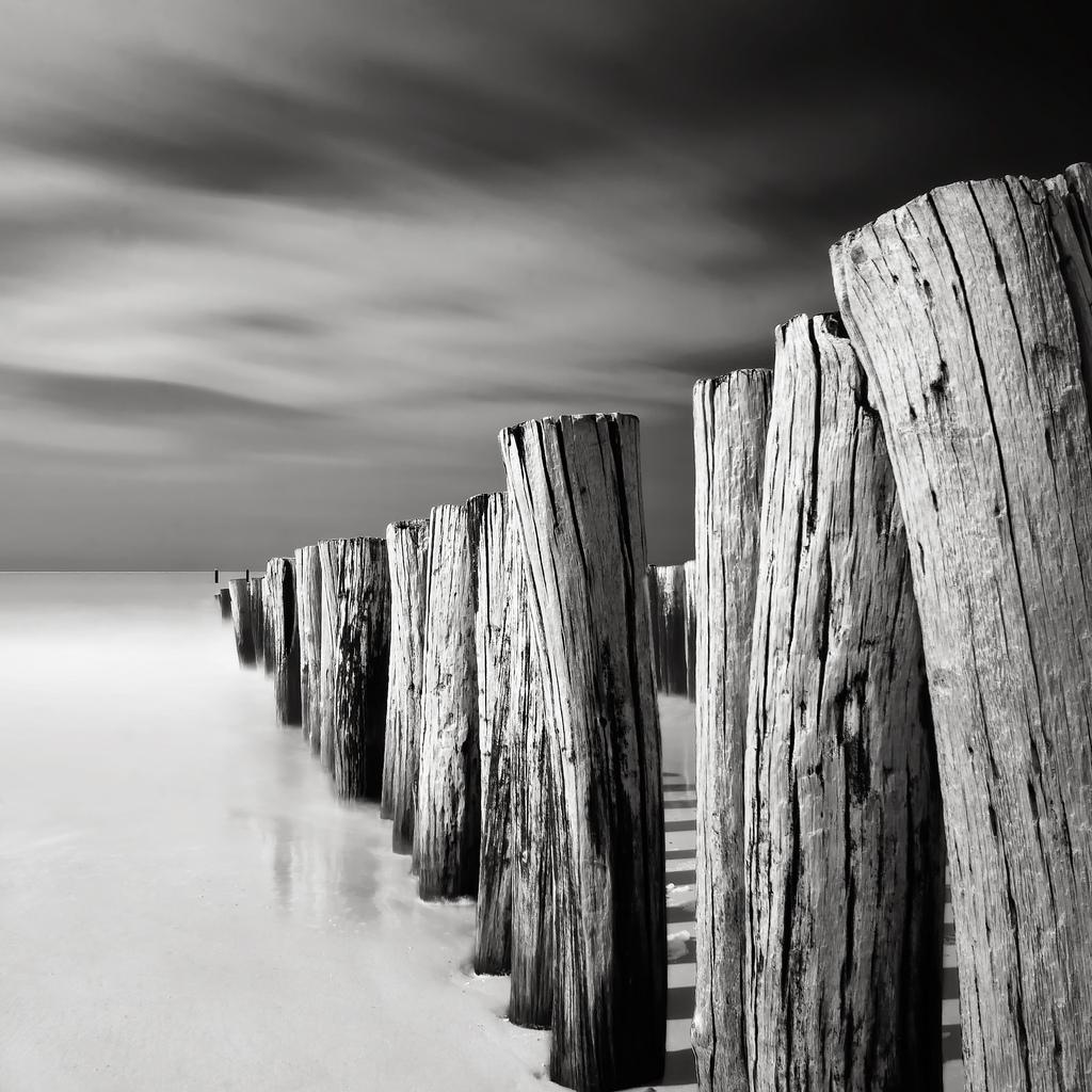 joel-tjintjelaar-domburg-groynes.jpg