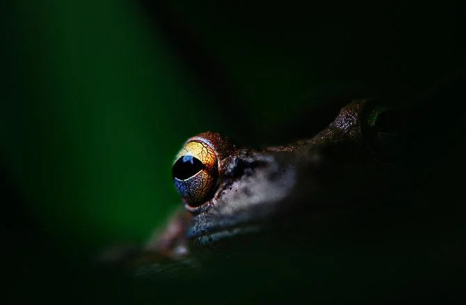 bill-mangold-62.jpg