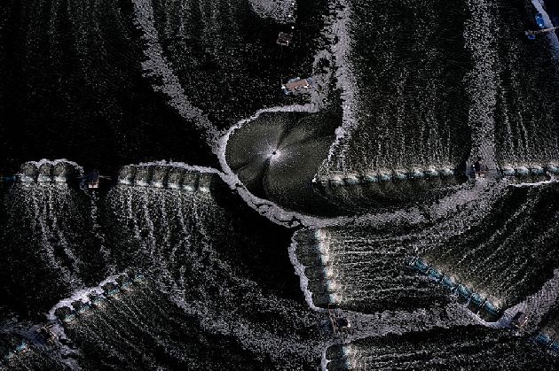 yann-arthus-bertrand7.jpg
