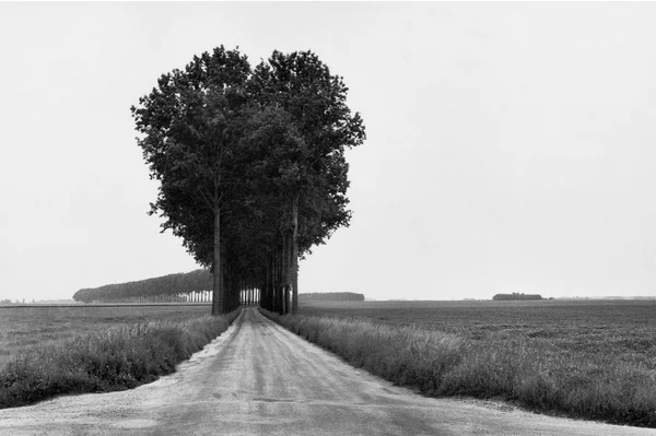henri-cartier-bresson-21.jpg