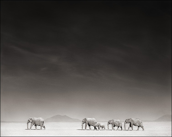 nick-brandt14.jpg