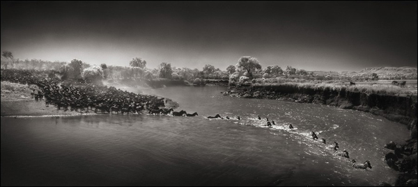 nick-brandt07.jpg