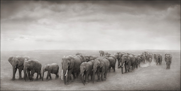 nick-brandt10.jpg
