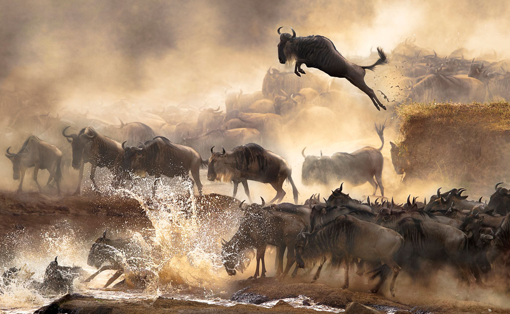 2014 Sony World Photography Awards: 40 Breathtaking Winning Photos Revealed