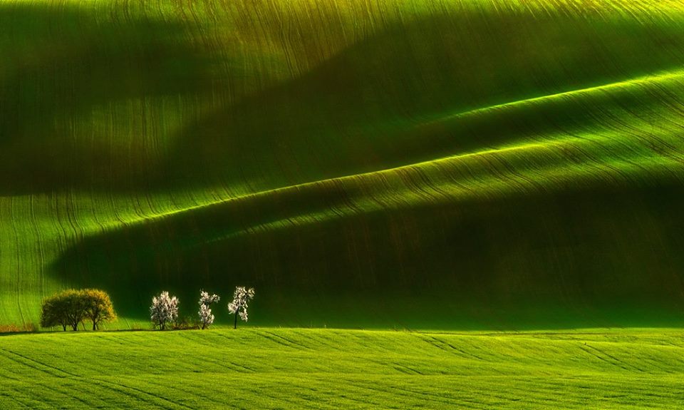 Moravian Ladies - Pawel Kucharski.jpg