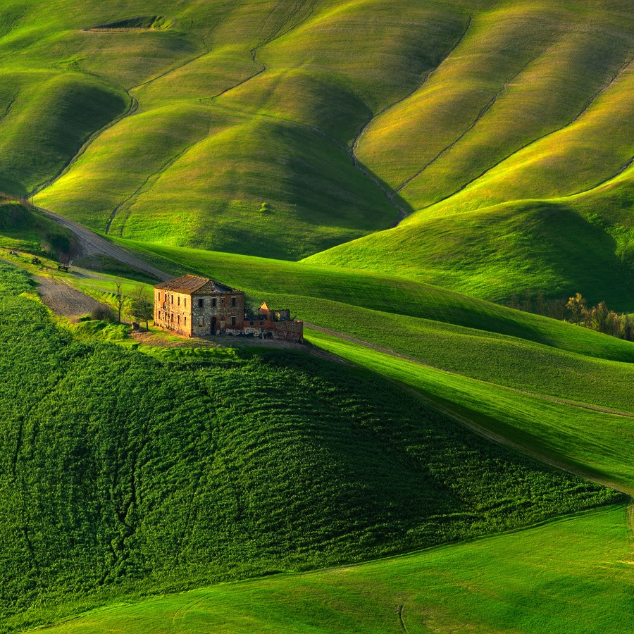 Green Rhapsody -  Pawel Kucharski.jpg