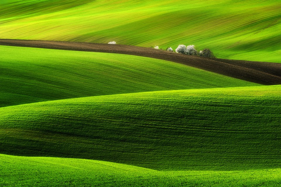 Spring -  Pawel Kucharski.jpg