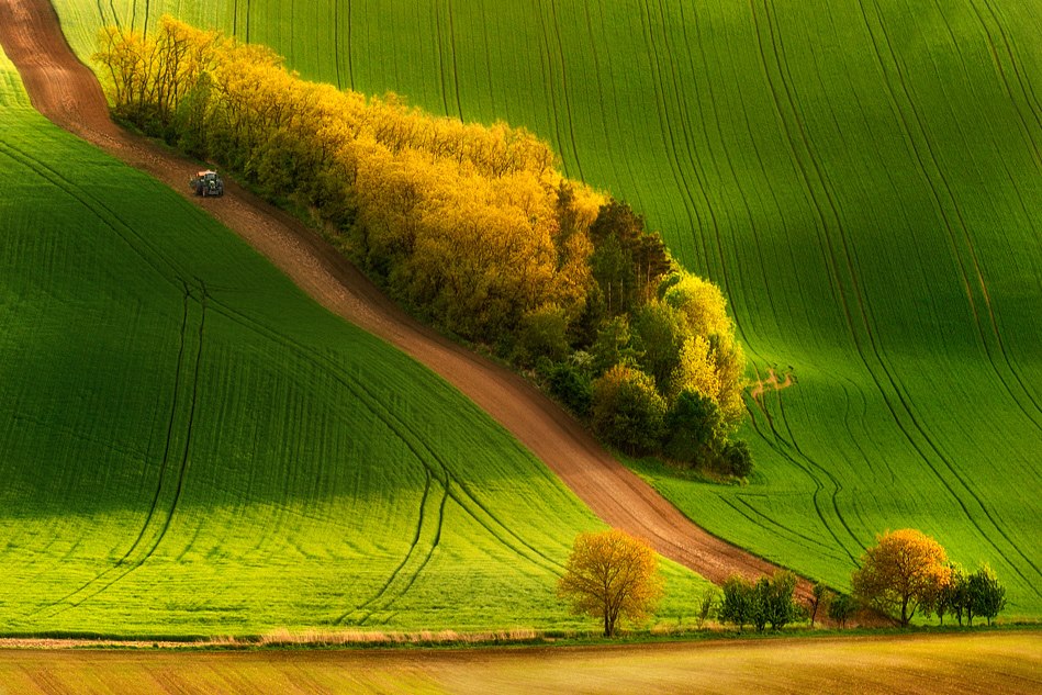 Tractor- Pawel Kucharski.jpg