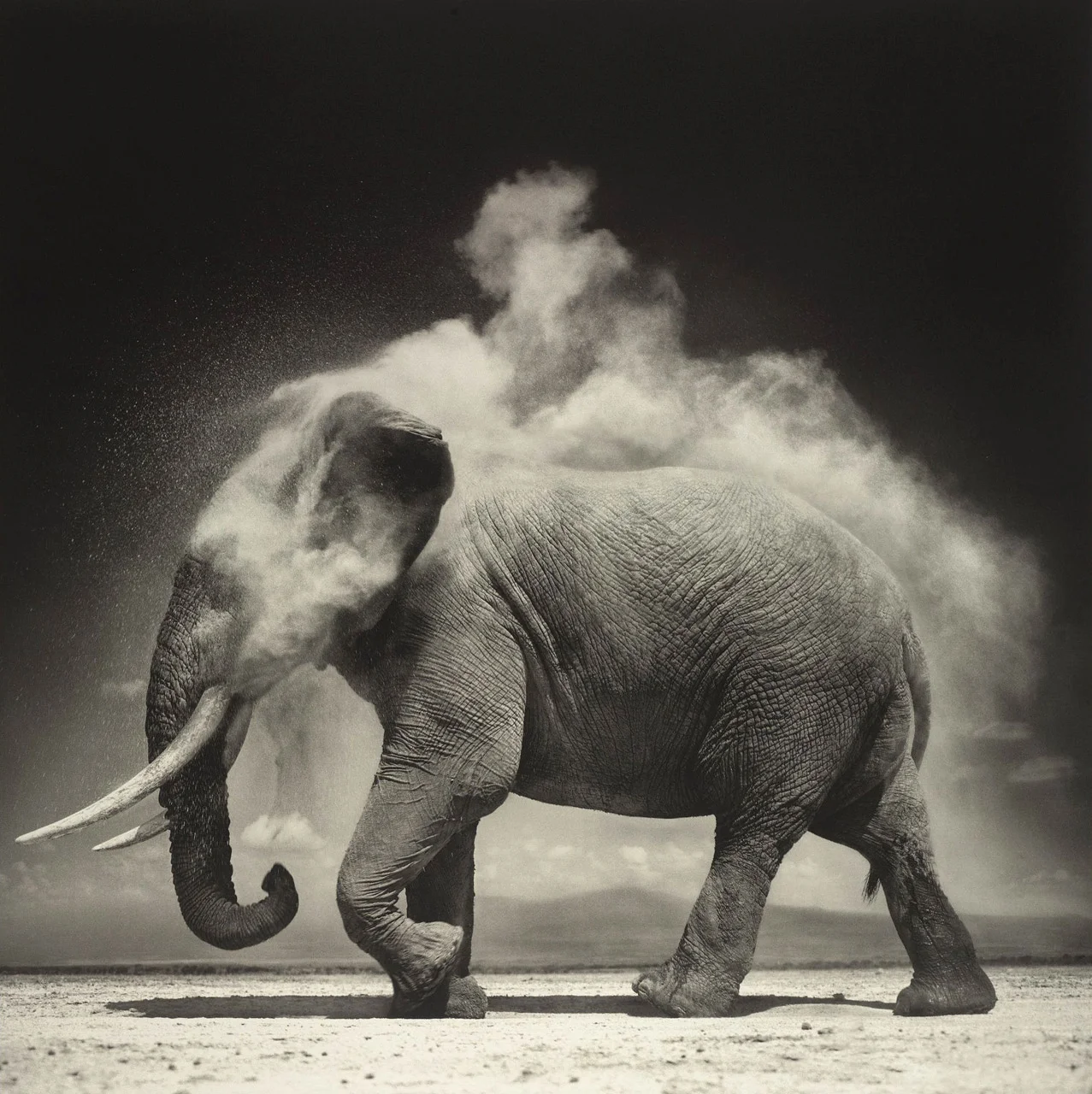 Elephant with Exploding Dust, Amboseli, 2004 © Nick Brandt