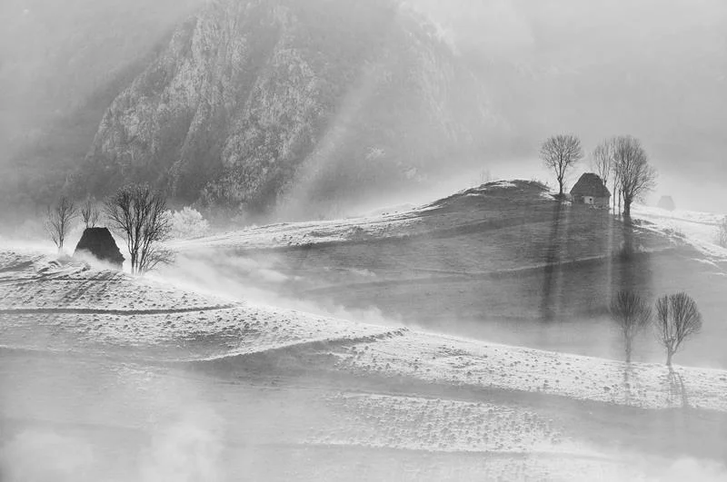 When All The Words Have Run Out by Cornel Pufan Photography