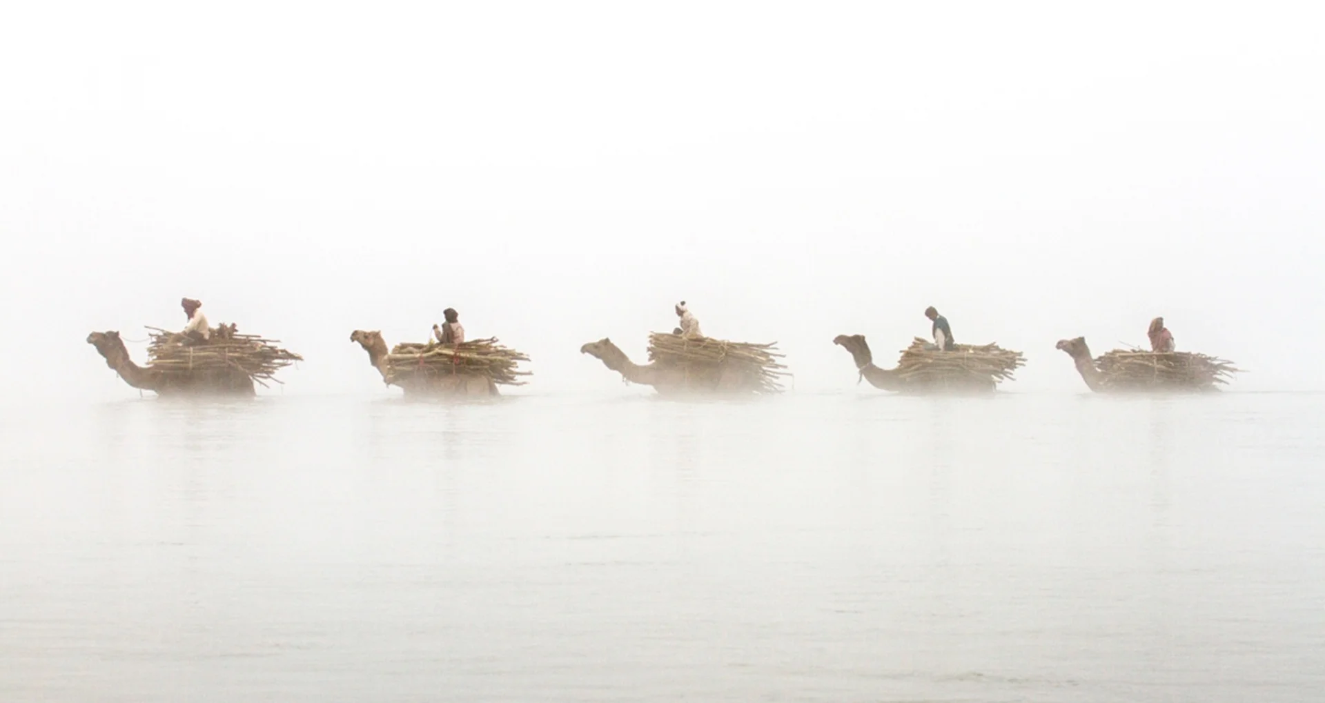 Earth, Air, Fire, Water, special mention, Patrick Griffiths, UK Four camels and their riders cross the Chambal river, India Photograph: Patrick Griffiths/TPOTY