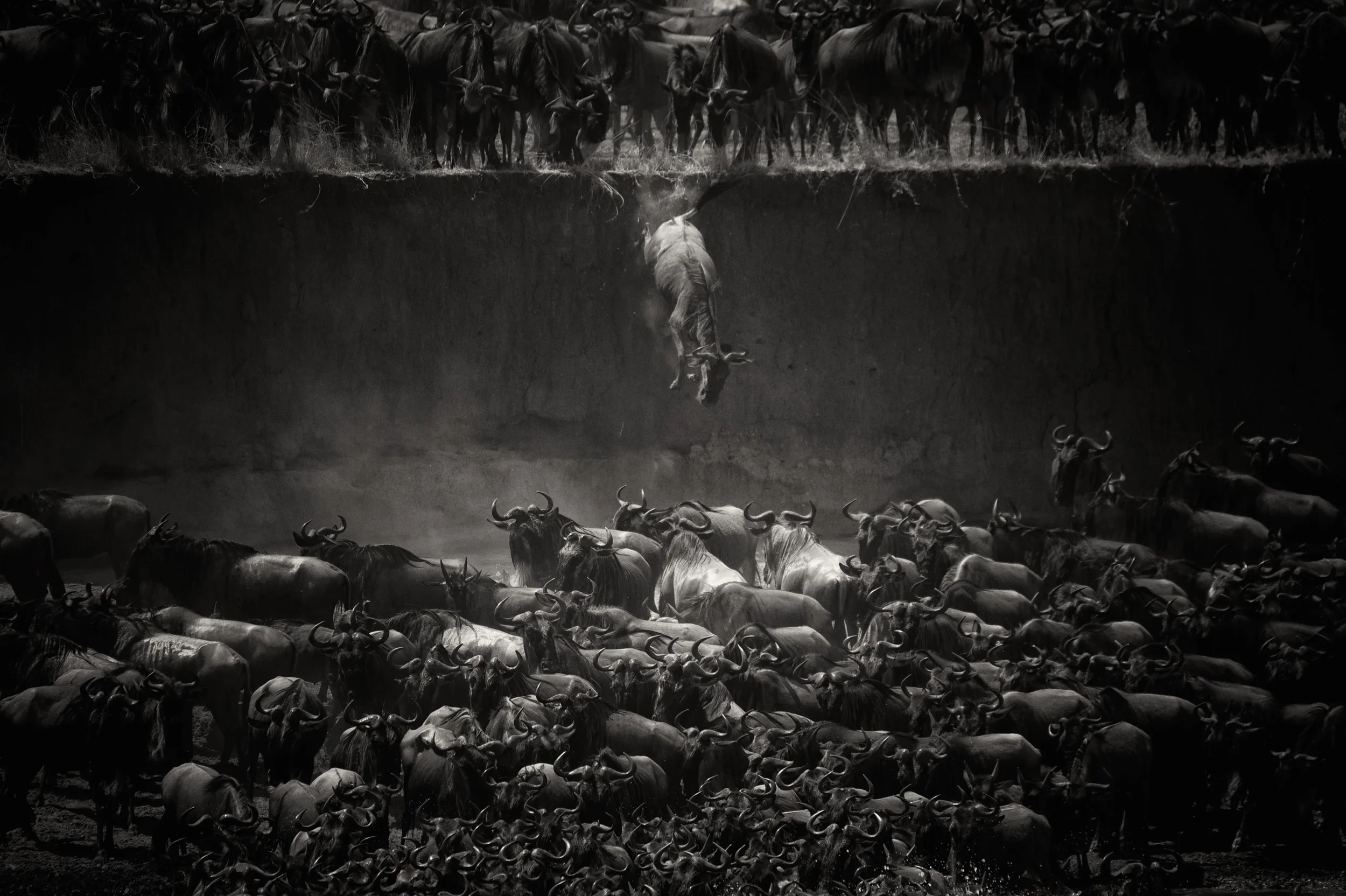 The Winners of National Geographic 2014 Photo Contest