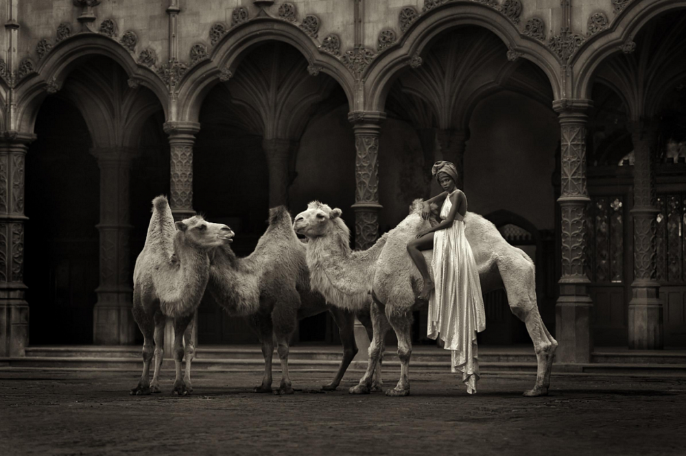 The straw that broke the camels back - Marc Lagrange