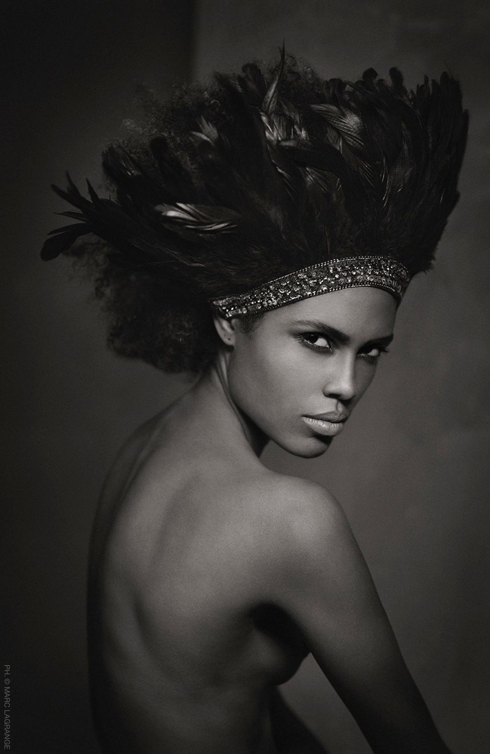 Black Parrot - Marc Lagrange