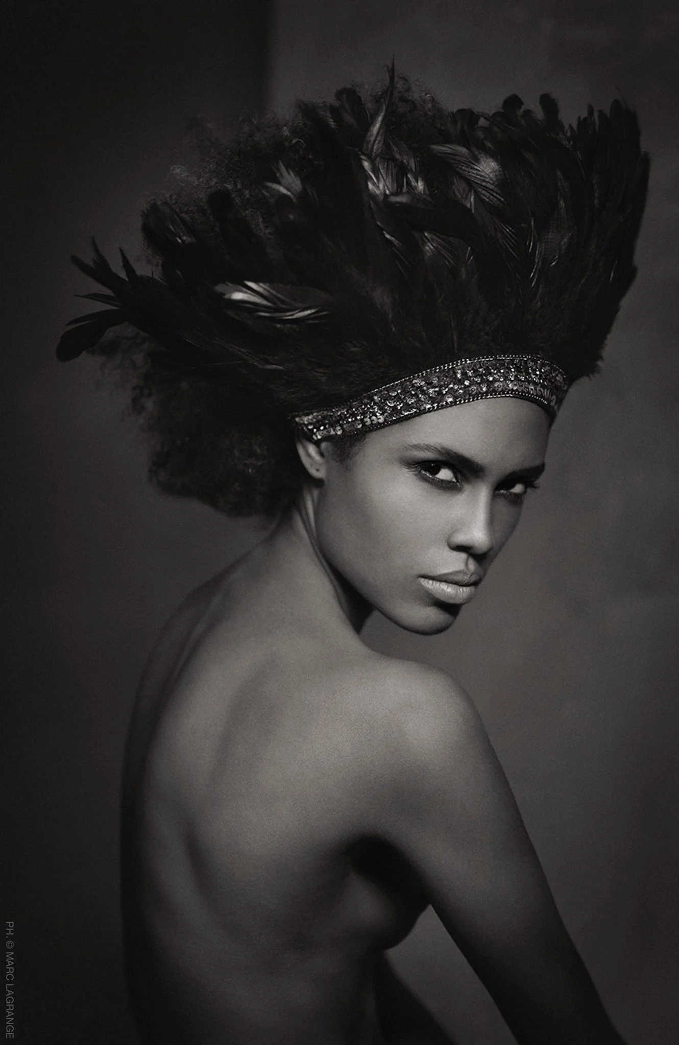 Black Parrot - Marc Lagrange