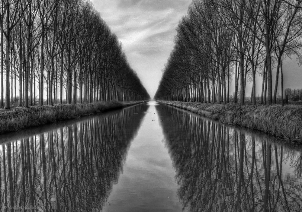 Yvette Depaepe - Vanished to the infinite