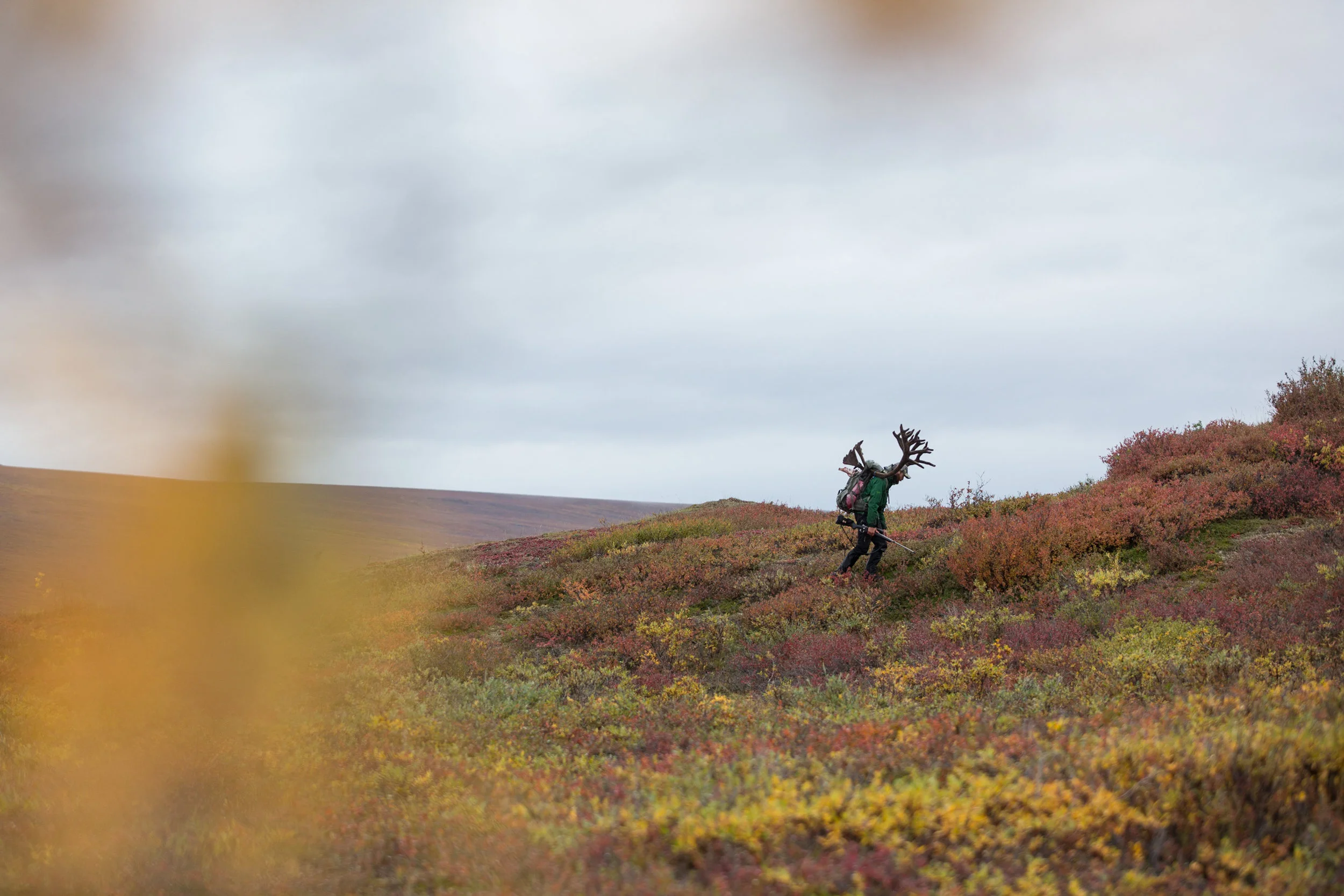 Alaska_2016_112.jpg