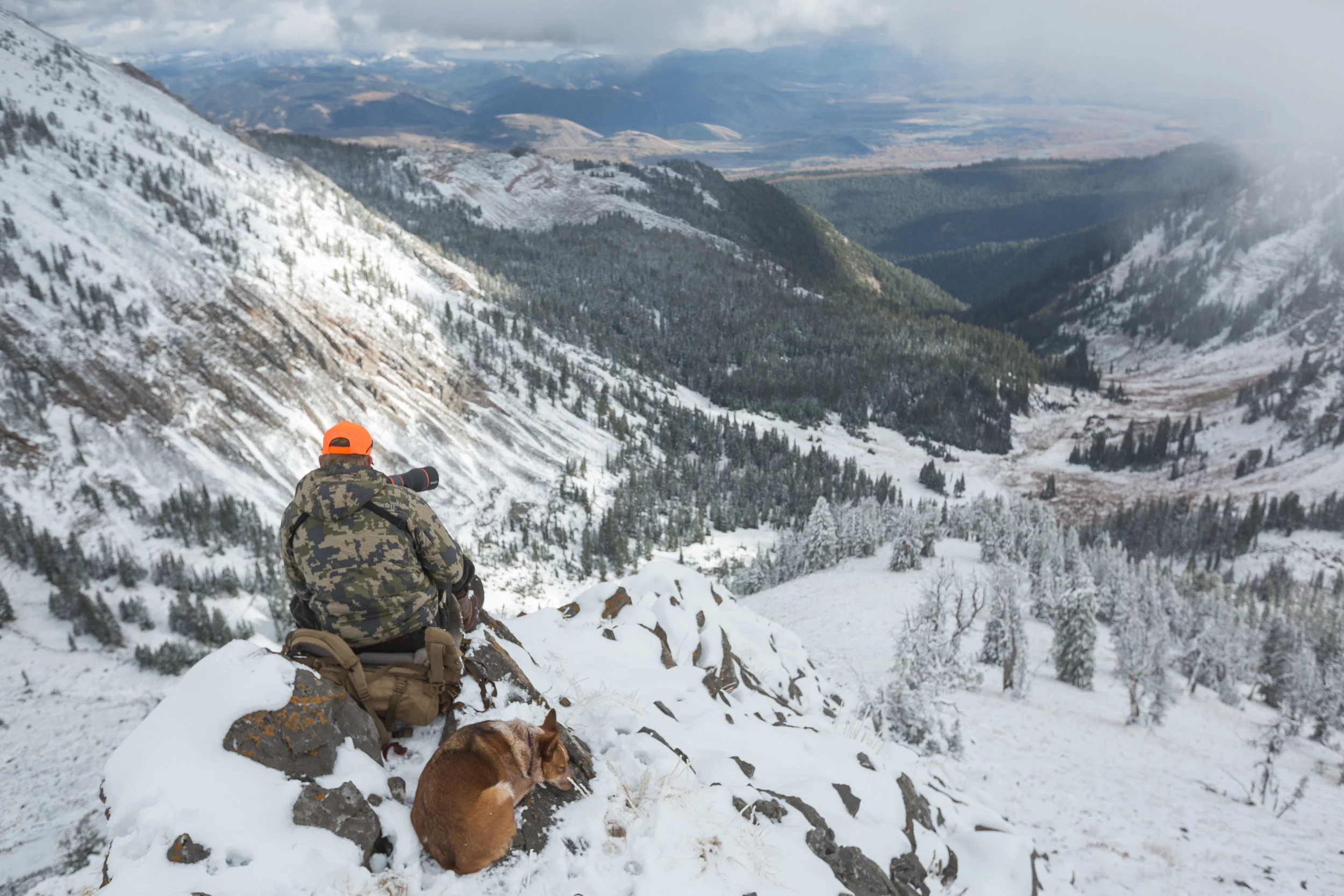 Teton_Moose_29.jpg