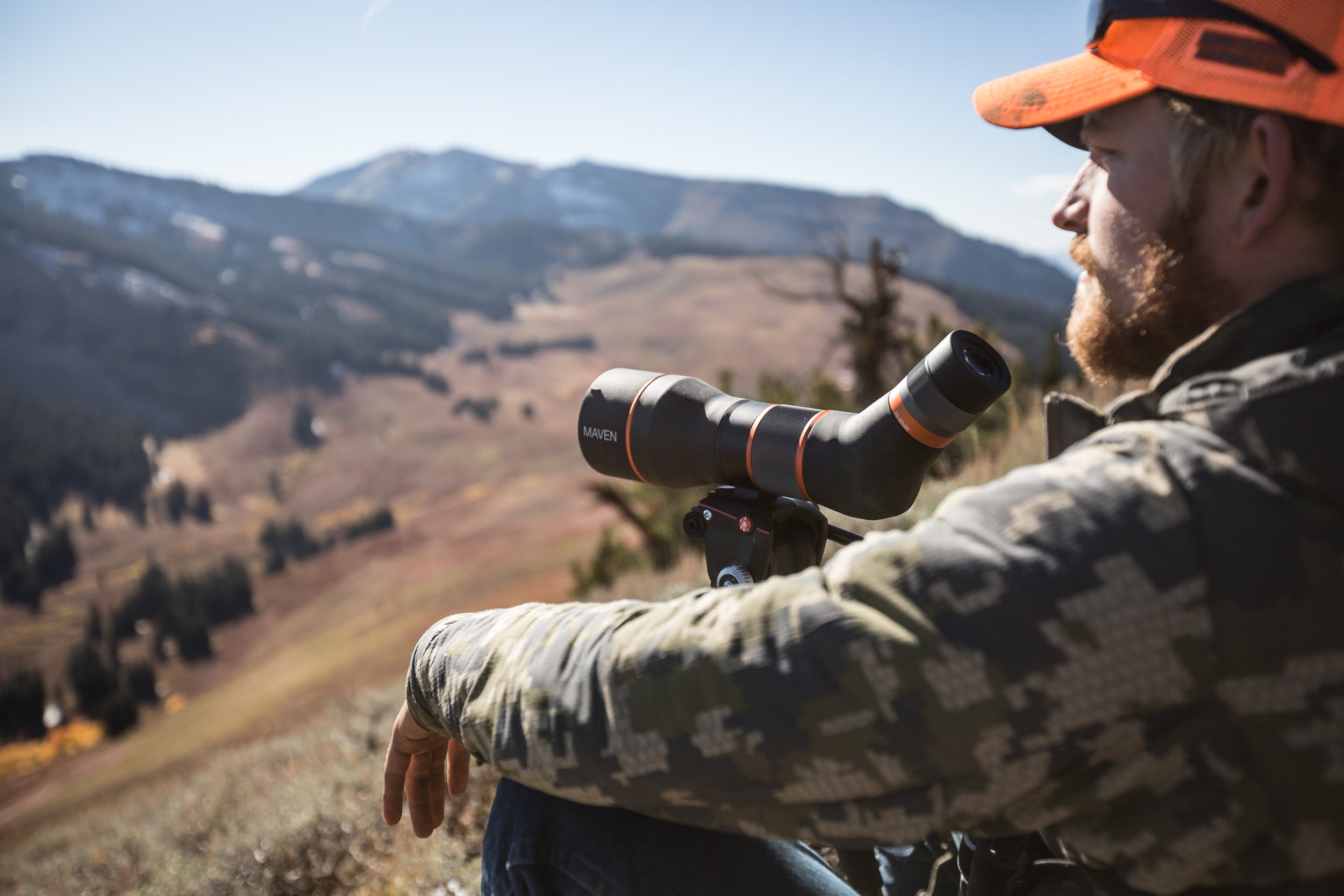 Teton_Moose_60.jpg
